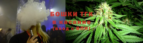 прущая мука Алзамай