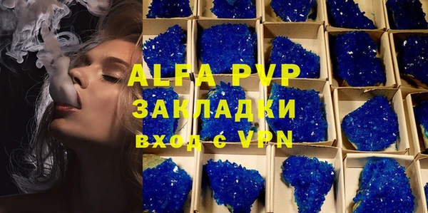 СК Алексин