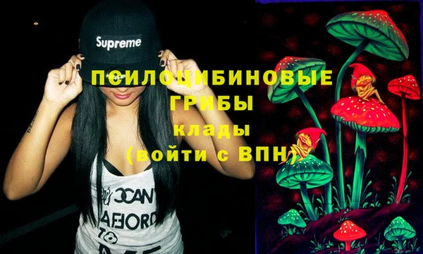 сатива Алексеевка
