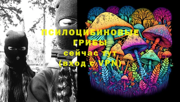 прущая мука Алзамай