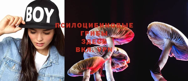 прущая мука Алзамай