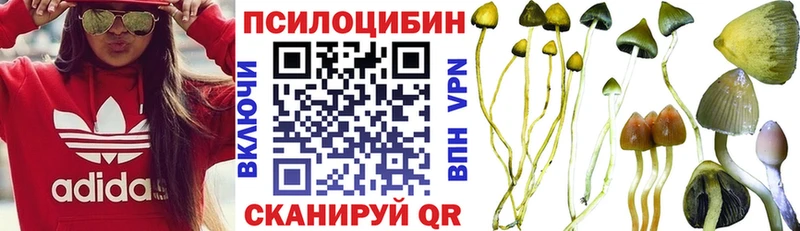 Галлюциногенные грибы мухоморы  OMG онион  Приозерск  закладки 