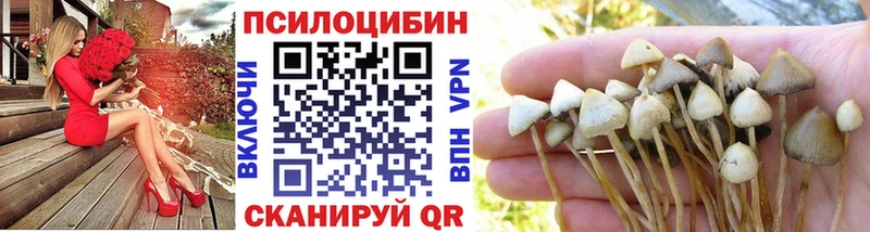 Галлюциногенные грибы Magic Shrooms Приозерск
