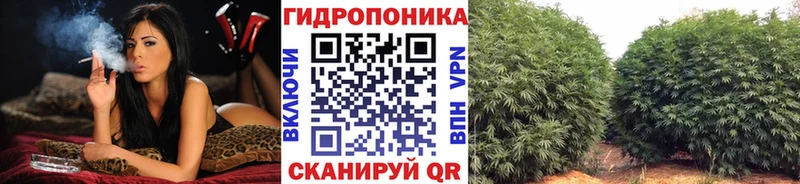 Канабис Bruce Banner  закладки  Приозерск 